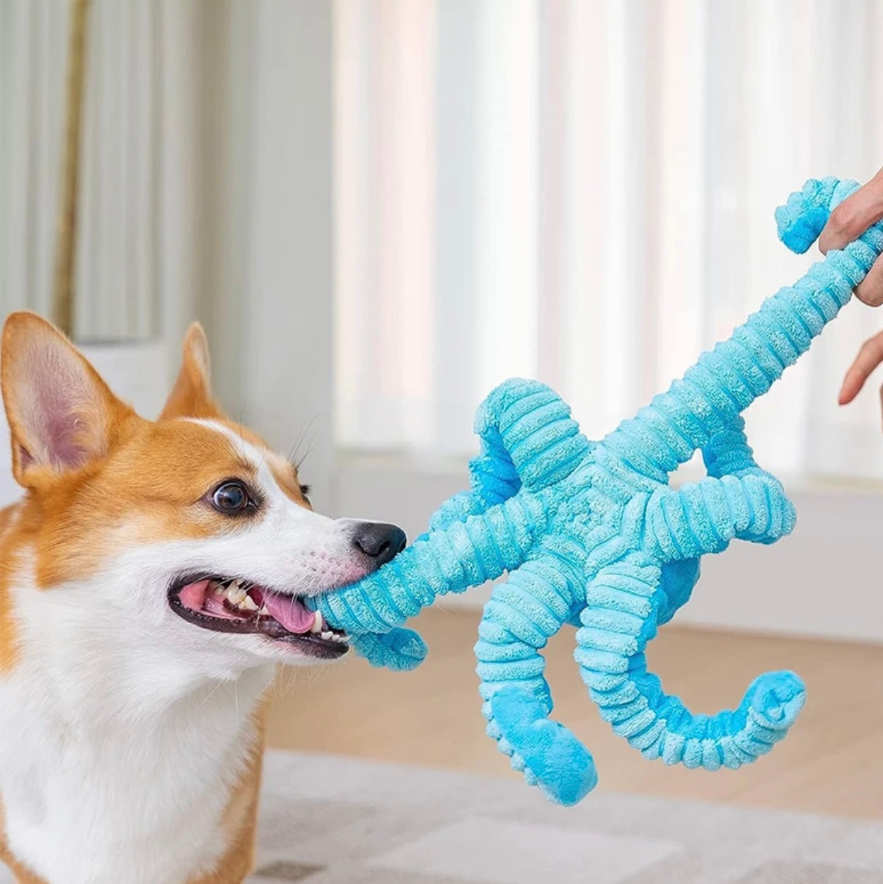 Dog Squeaky Toys Octopus -Tough Plush for Large Medium & Small Dog Toys (Blue)or (Pink )